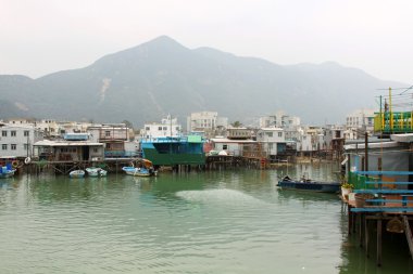 hong Kong Tai o balıkçı köyü