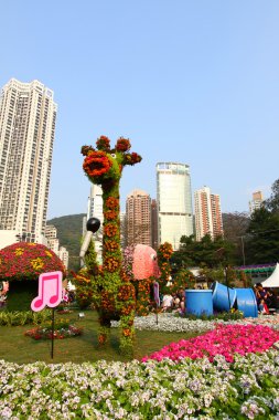 Hong kong çiçek Yarışması 2011