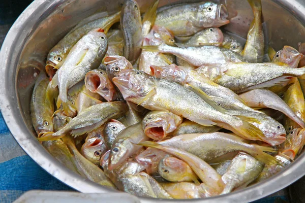 Свежие рыбы на рынке — стоковое фото