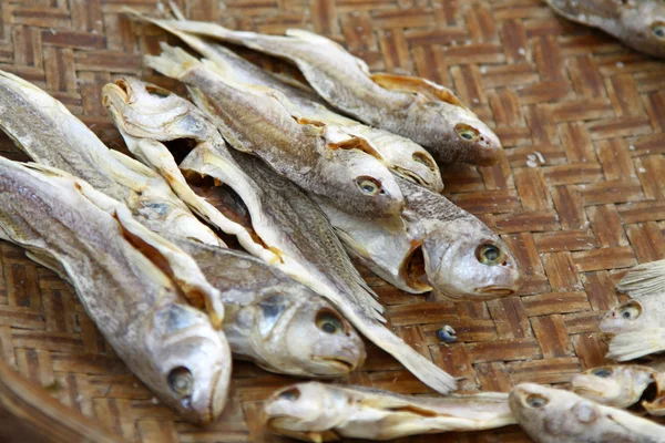 在香港的盐渍的鱼 — 图库照片