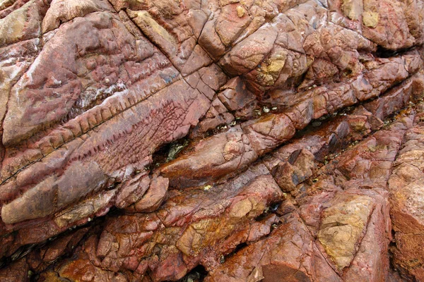 Sedimentární horniny v Hongkongu geo parku — Stock fotografie
