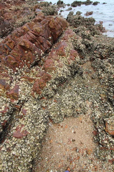 Sedimentary rocks in Hong Kong Geo Park — Stock Photo, Image