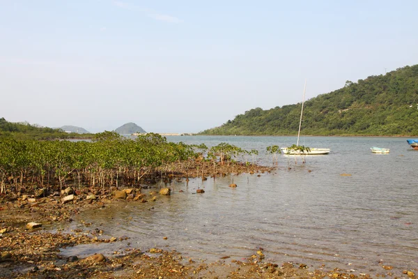 Zonas húmidas em Hong Kong ao longo da costa — Fotografia de Stock