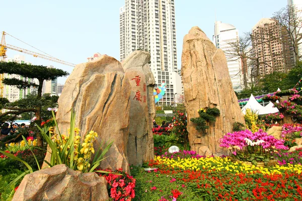 香港花卉展览 2011 — 图库照片