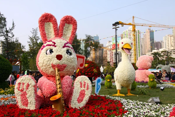 Hong Kong Flower Show 2011 — Foto Stock