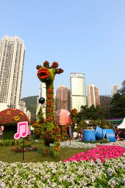 Hong Kong квітка шоу 2011 — стокове фото