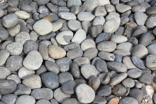 Pebbles pedra fundo — Fotografia de Stock