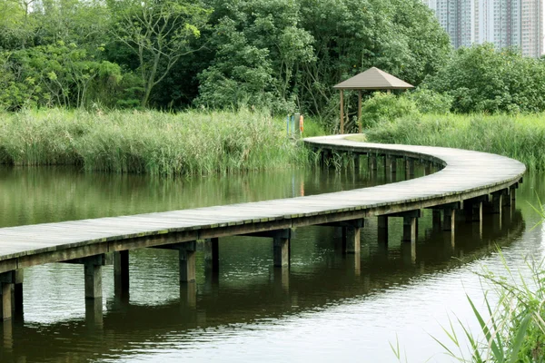 Um caminho de madeira no parque de zonas húmidas — Fotografia de Stock