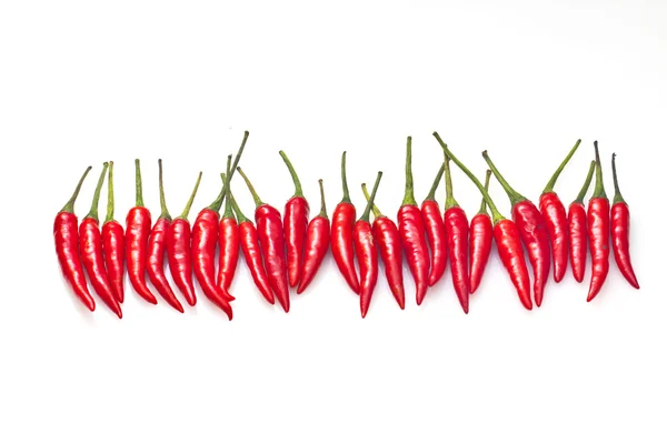 stock image Chilli isolated on white background