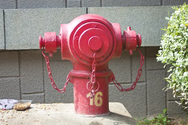 Ein Feuerwehrhydrant — Stockfoto