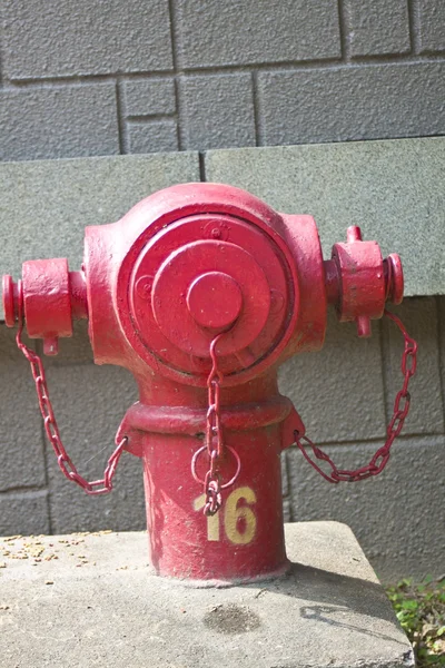 Ein Feuerwehrhydrant — Stockfoto