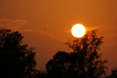 hong Kong Sunset