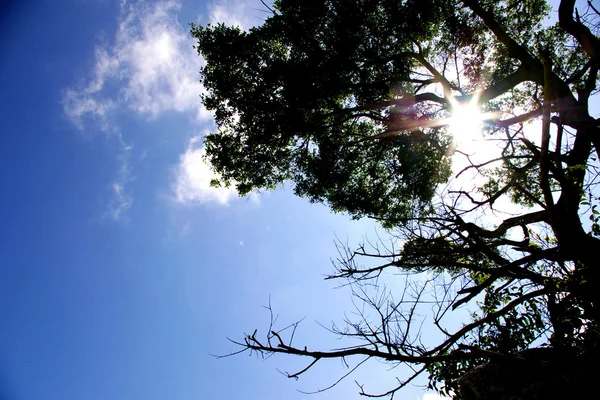 Mavi gökyüzü güneş tarafından aydınlatılmış — Stok fotoğraf