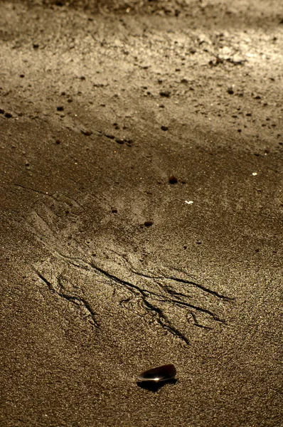 Pattern on the beach — Stock Photo, Image