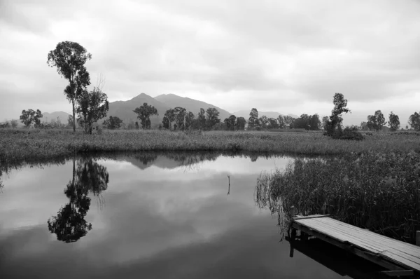 Wetland in Hong Kong in black and white tone — Stock Photo, Image