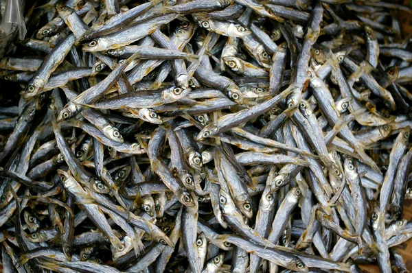 Salted fishes in Cheung Chau, Hong Kong. — Stock Photo, Image