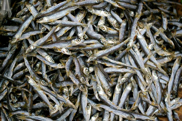 stock image Salted fishes in Cheung Chau, Hong Kong.