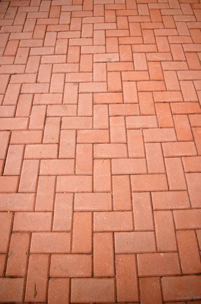 Bricked floor — Stock Photo, Image