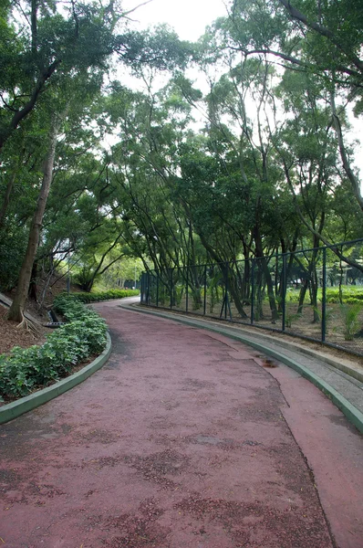 Caminho em um parque — Fotografia de Stock