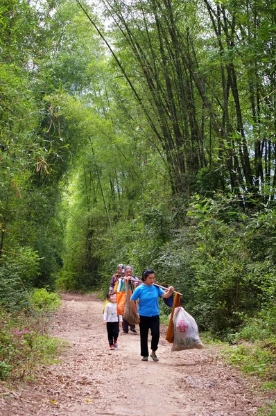 Chinese farmers walking along bamboo forest — Stock Photo, Image