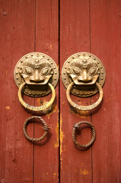 Duplo leão botões em um velho portão de madeira — Fotografia de Stock