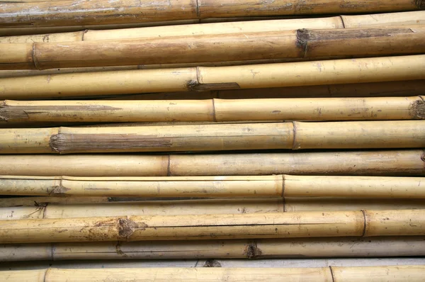 竹の背景 — ストック写真