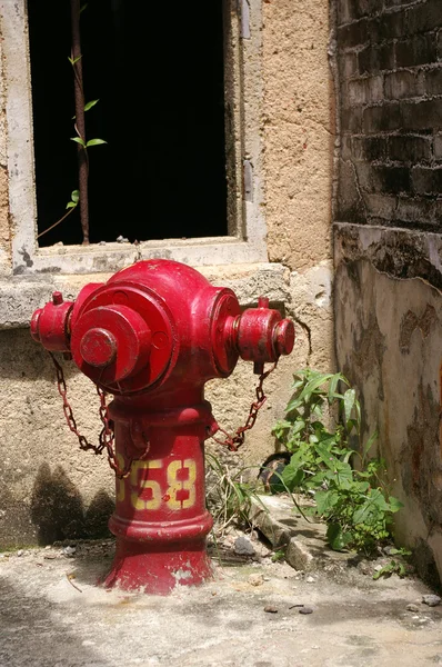 Bir yangın musluğu. — Stok fotoğraf