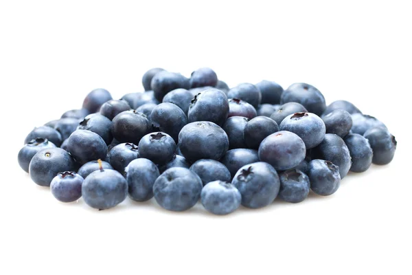 Blueberry diisolasi pada latar belakang putih — Stok Foto