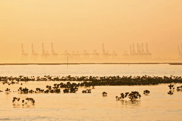 stock image Industrial ship and factory silhouetted at sunset