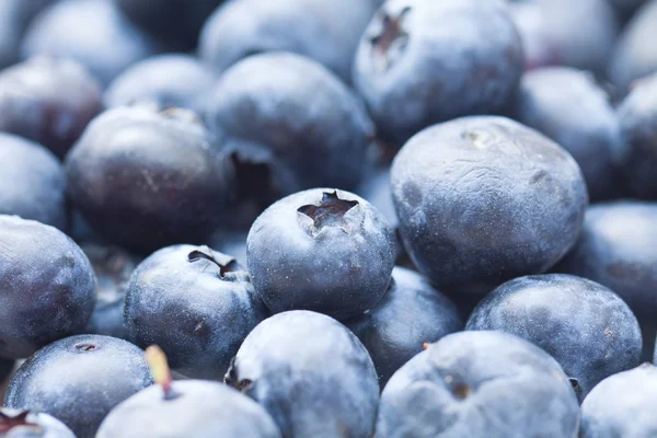 Latar belakang Blueberry — Stok Foto