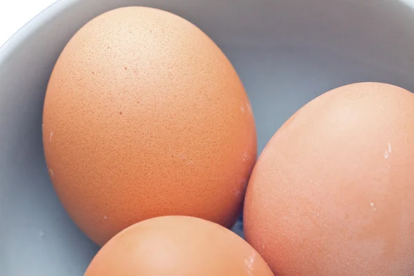 ไข่ที่แยกกันบนพื้นหลังสีขาว — ภาพถ่ายสต็อก