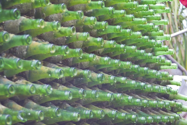 Groene flessen — Stockfoto