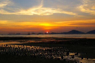 hong Kong deniz kıyısı boyunca güzel gün batımı