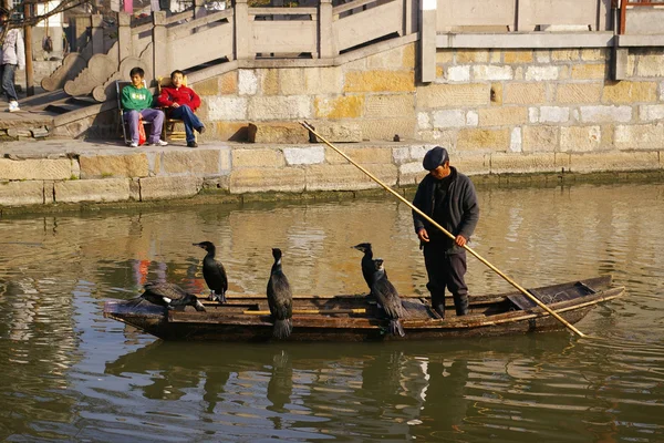 Pescador chinês com seus pássaros na China — Fotografia de Stock