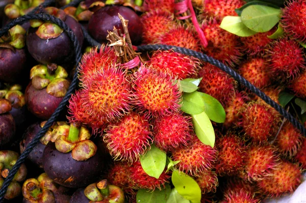 Rambutan e frutti di mangostano viola — Foto Stock