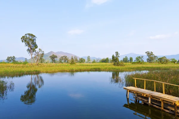 Заводское озеро и деревянный пирс — стоковое фото