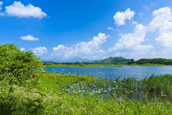 Wetland lake landschap — Stockfoto