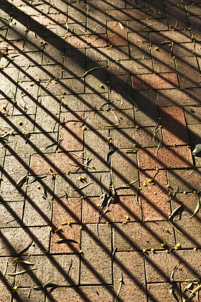 Foglie cadute sul pavimento ombra — Foto Stock