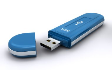 USB flash bellek