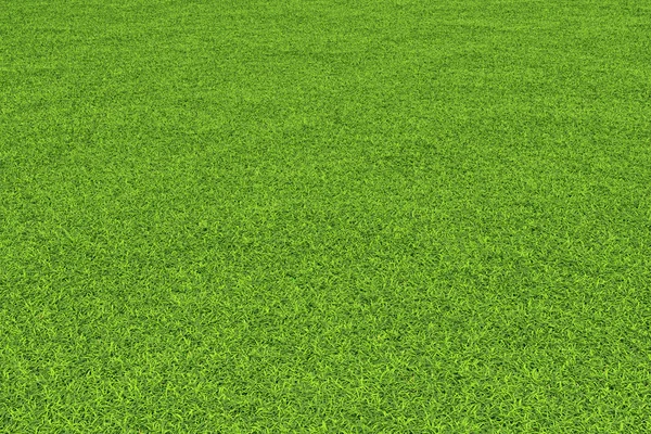 Grass background. — Stock Photo, Image
