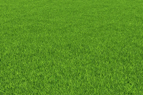 Tło trawy. — Zdjęcie stockowe