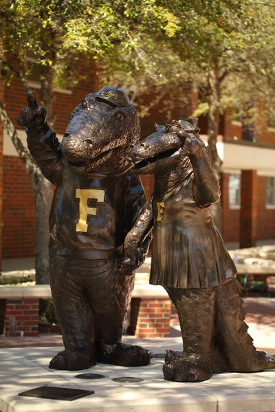 佛罗里达大学的鳄鱼吉祥物 — 图库照片