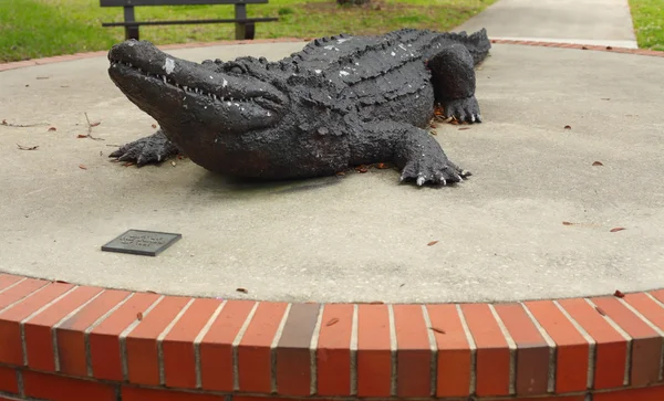 Florida Üniversitesi timsah heykeli — Stok fotoğraf