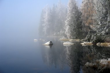 Fogs on the Pleso. clipart