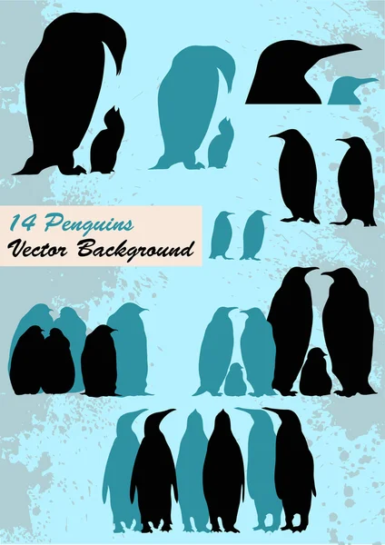 Different Penguins — Stock Vector