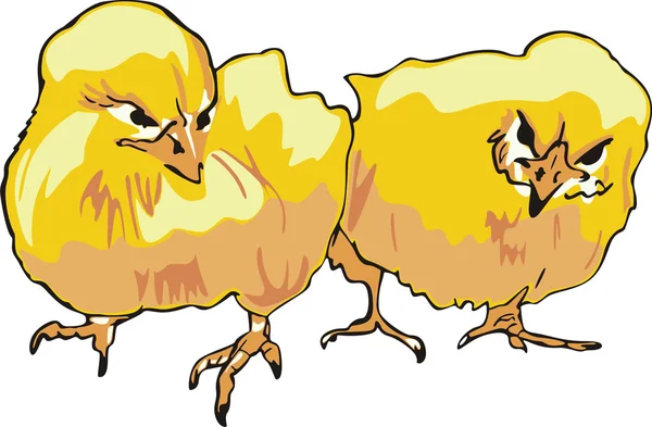 Två kycklingar — Stock vektor