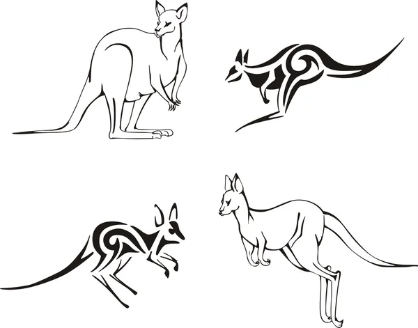 Kangaroos — Stock Vector