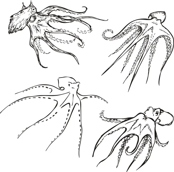 Набор осьминогов — стоковый вектор