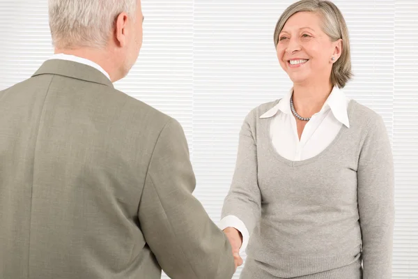 Ledande affärsmän handslag professionell leende — Stockfoto