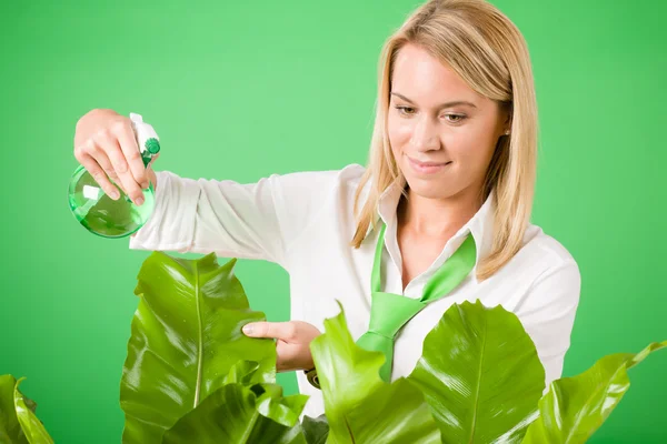 Grüne Geschäftsfrau wässert Zimmerpflanze lächelnd — Stockfoto